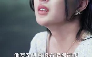 短剧《予她半城（100集）》精彩短剧全集免费看