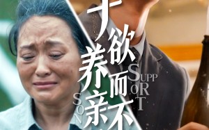 短剧《子欲养而亲不待（42集）》免费短剧无广告播放