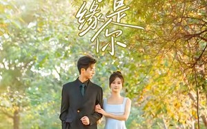 短剧《苦尽甘来缘是你（45集）》爆款短剧免费在线播