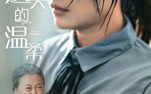 短剧《新遗失的温柔（77集）》短剧全集免费在线品鉴