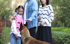 短剧《养狗应有道（60集）》精彩短剧免费在线全集