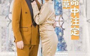 短剧《闪婚幸运草的命中注定（82集）》短剧热门全集免费速看