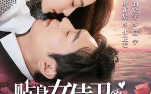 短剧《贴身女侍卫的契约婚姻（91集）》热门短剧全集在线赏