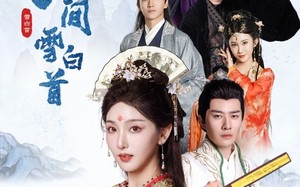 短剧《我寄人间雪白首（70集）》短剧免费完整版观看