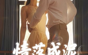 短剧《情落成泥碾作尘（50集）》短剧全集无广告在线赏
