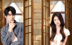 短剧《陆小姐独美后六个哥哥不干了（84集）》短剧全集高清免费看