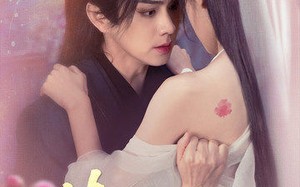 短剧《情迷不悟（67集）》短剧佳作免费尽情看