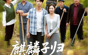 短剧《麒麟子归报春晖（36集）》热门短剧免费速看