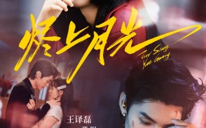 短剧《烬上月光（81集）》免费短剧全集畅快追