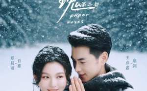 短剧《纸玫瑰第二部（80集）》短剧免费畅享完整剧