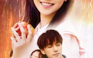 短剧《玫瑰陷入火焰里（60集）》热门短剧全集畅享观看