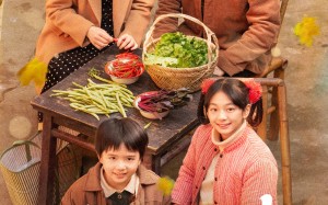 短剧《家里家外（79集）》精彩短剧完整版观看