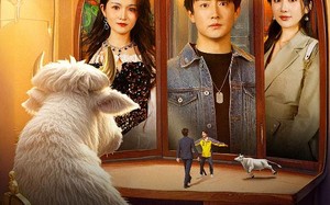 短剧《我能倾听动物心声（50集）》免费短剧全集高清看