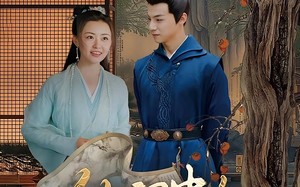 短剧《传闻中的宁清漪（86集）》精彩短剧全集免费览