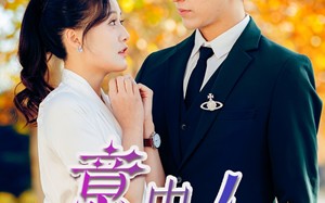 短剧《意中人（32集）》精彩短剧免费全集速览