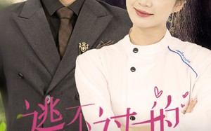 短剧《逃不过的我爱你（64集）》短剧免费全集在线追不停