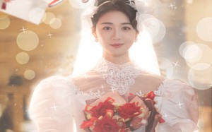 短剧《无以情深共白首（35集）》优质短剧免费在线览