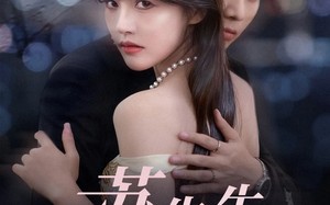 短剧《苏先生，复婚请排队（70集）》短剧全集免费在线追