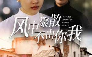 短剧《风中聚散不由你我（41集）》短剧全集在线免费追