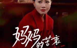 短剧《妈妈的苦衷（32集）》热门短剧免费全集观看