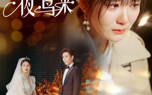 短剧《春信不至夜莺来（50集）》短剧免费看全集不卡顿