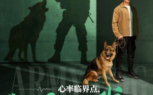 短剧《心率临界点谁都别惹我（96集）》短剧完整版在线畅享