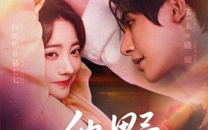 短剧《他野（71集）》优质短剧在线免费播放