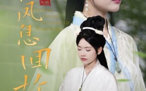 短剧《凤栖凤息回故乡（36集）》精彩短剧完整版呈现