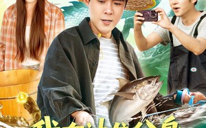 短剧《我有神龙分身，狂捞海底宝藏（95集）》高分短剧完整剧情在线览