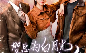 短剧《贺总为白月光取消订婚，我不嫁了（105集）》爆款短剧完整版在线追