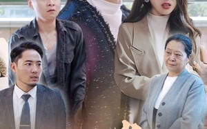 短剧《人生半载，重头再来（30集）》精彩短剧全集免费观享