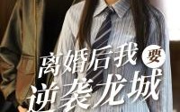 短剧《离婚后我要逆袭龙城（90集）》短剧全集免费高清观看