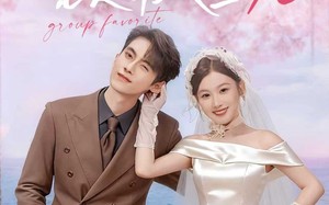 短剧《闪婚妈咪竟是帮派团宠（86集）》高能短剧在线免费追