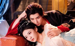 短剧《表姑娘进京了（74集）》热门短剧全集免费在线赏