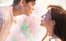 短剧《每天都和总裁斗智斗勇（83集）》免费短剧全集直看