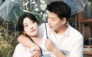 短剧《春日迟迟（95集）》超长版短剧免费畅看