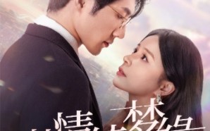 短剧《湛情琦梦缘（69集）》精彩短剧免费在线赏