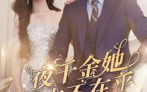 短剧《夜千金她根本不在乎（90集）》免费短剧在线畅享观