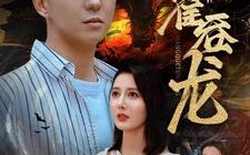 短剧《蟒雀吞龙（91集）》热门短剧在线免费赏