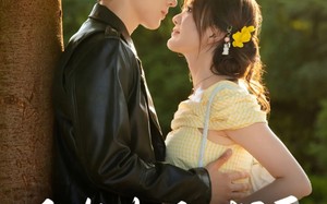 短剧《重逢你的盛夏（66集）》热门短剧免费在线播放