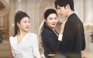 短剧《谎言之茧（29集）》优质短剧全集免费在线追