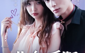 短剧《北向暖阳（80集）》超火短剧在线免费赏