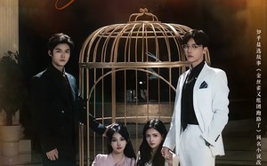 短剧《金丝雀又组团跑路了（长篇）》爆款短剧在线畅享