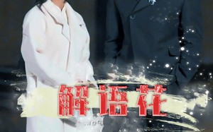 短剧《解语花（80集）》短剧高清全集免费畅享