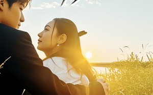 短剧《不好惹的顾助理（67集）》短剧免费高清全集赏