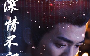 短剧《只恨深情不识鸢（83集）》短剧全集免费畅享观看