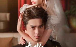 短剧《请欺瞒到底（80集）》高分短剧在线免费览