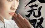 短剧《功夫无双（65集）》经典短剧在线播放