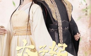 短剧《太子妃的休夫大业（84集）》爆款短剧全集免费看