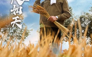 短剧《粮食安全大如天（43集）》短剧高清完整版免费看